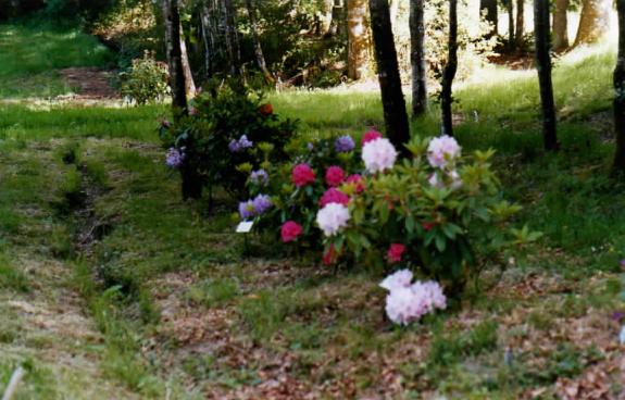 Un festival de couleurs