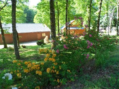 En arrivant au printemps